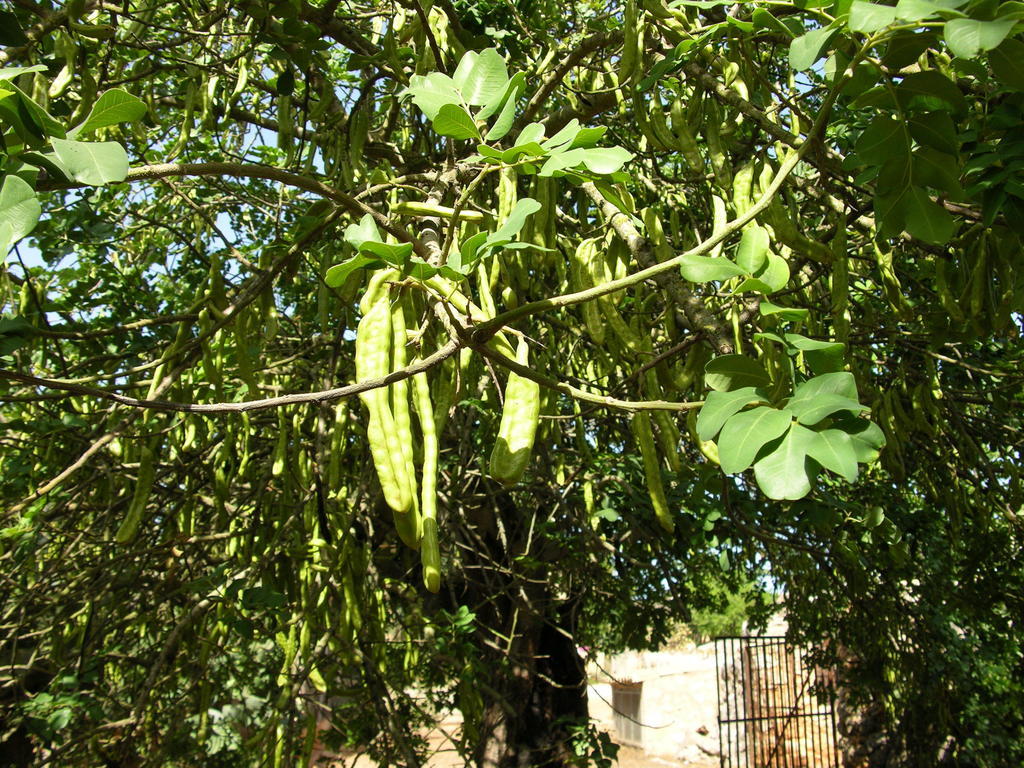 Finca Son Josep De Baix Calas de Mallorca Exterior photo